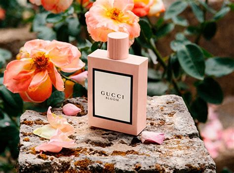 perfume gucci bloom mujer precio|Gucci Bloom perfume 1 oz.